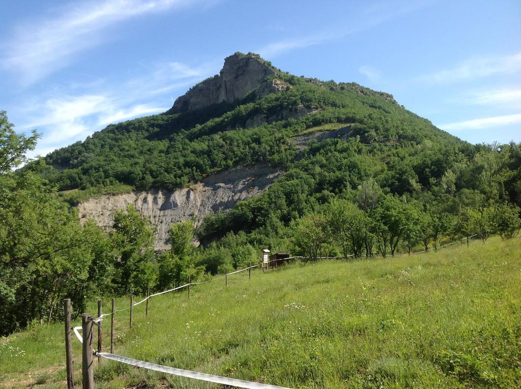 Agriturismo Ca' Di Mazza Monzuno Luaran gambar